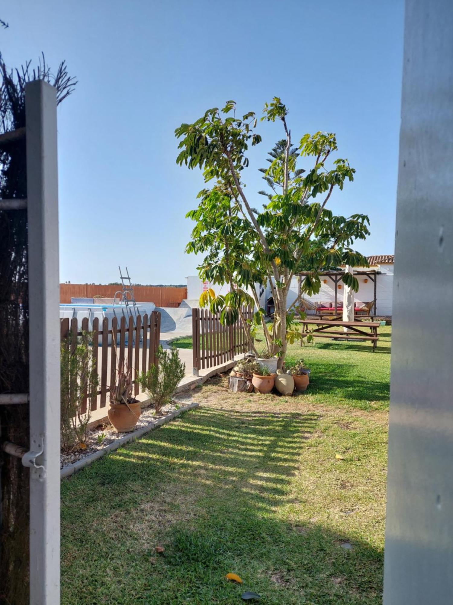 Single Fin Conil Villa Conil de la Frontera Kültér fotó